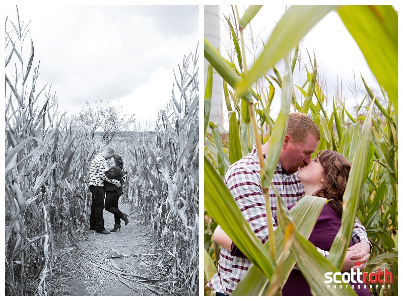 hackettstown-farm-engagement-photos-8848.jpg